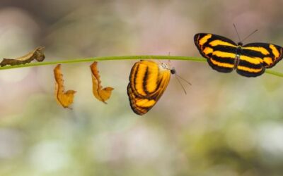 Don’t give up!  Change hurts before it heals…