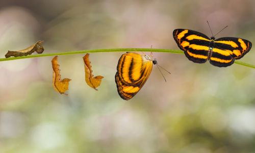 Don’t give up! Change hurts before it heals…