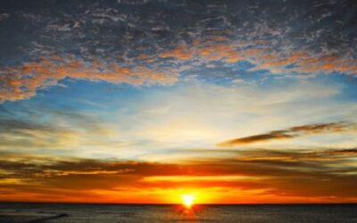 Peace in the Chaos…